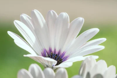 Budget Travel Tips: How to Explore the World Without Overspending